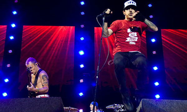 Foto: Marcus Hermes/Midiorama